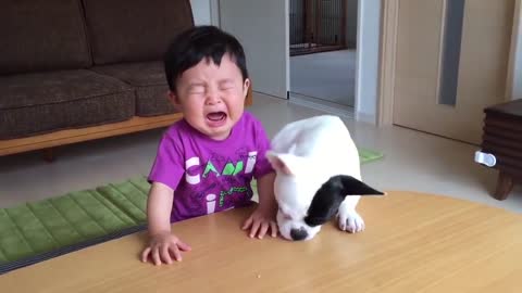 Dog Steals Baby's Cracker