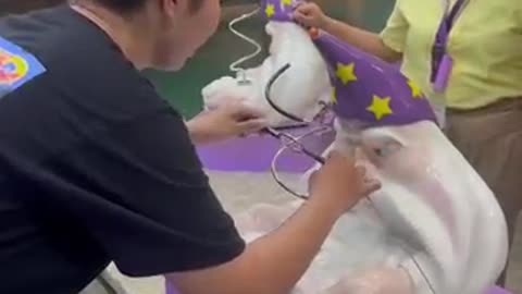 Technical good balance