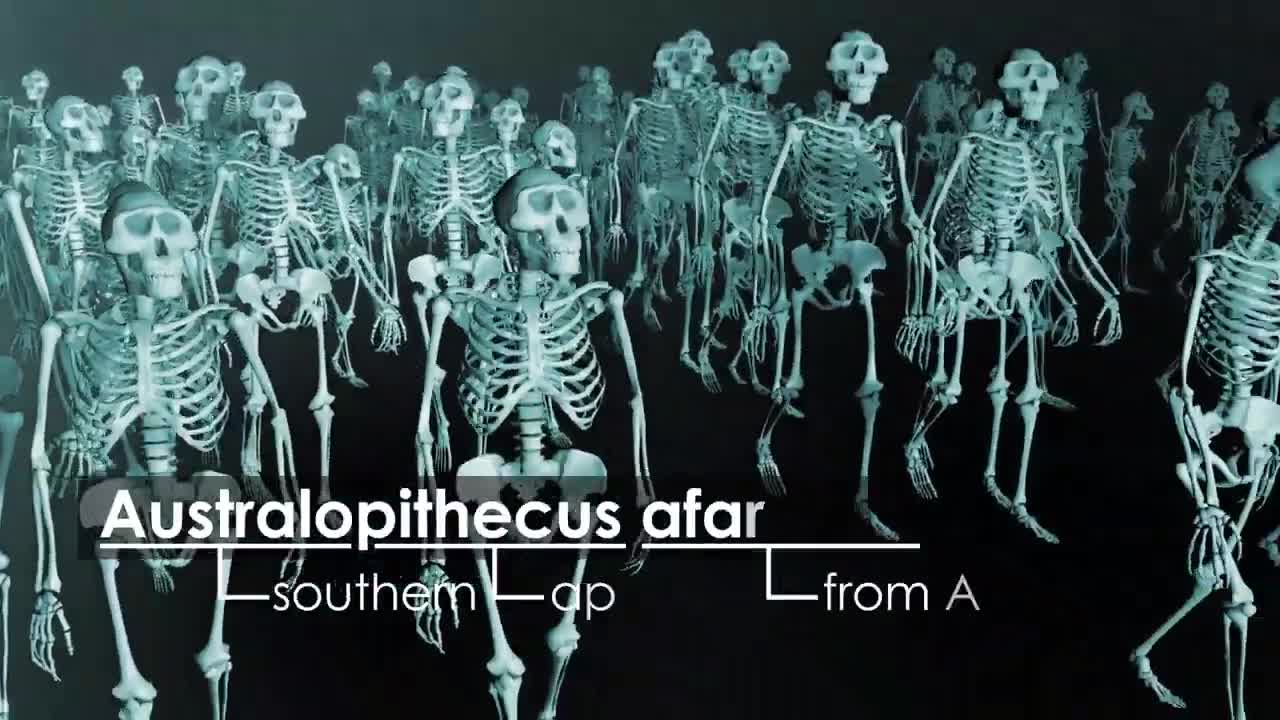 Lucy the 3.2 Million Year Old Mother of Man | BBC Earth