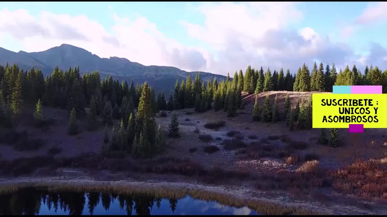 HERMOSO LAGO GRAVADO DESDE UN DRON