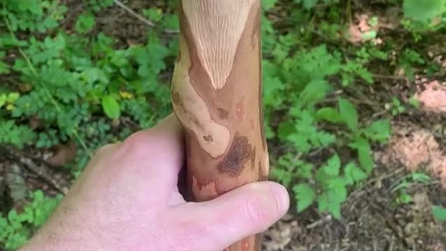 The head of the cane was carved into an old man