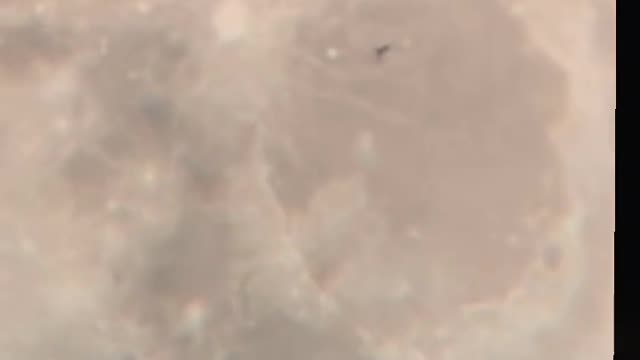 What do we have here???