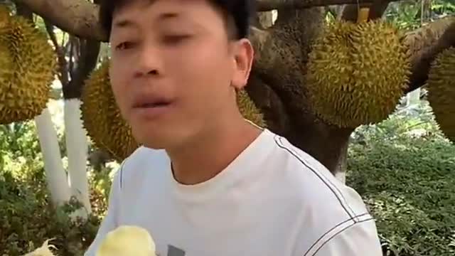 Farm Fresh Ninja Fruit Cutting Desi Satisfying Fruit Ninja Fruit Ideas | Amazing Fruits Video