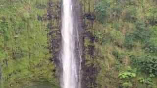 Akaka Waterfall in Hilo, HI