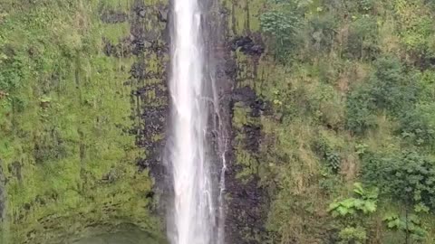 Akaka Waterfall in Hilo, HI