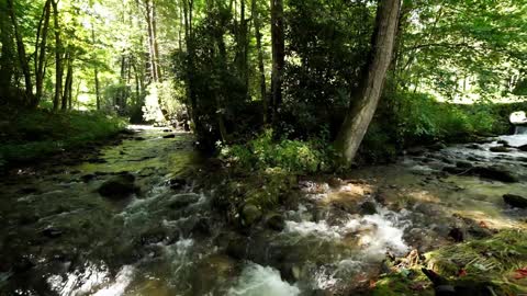 Tennessee Home