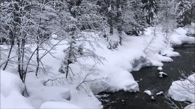 Capt'n Larrys Adventures on the snow at Fish Lake Trails