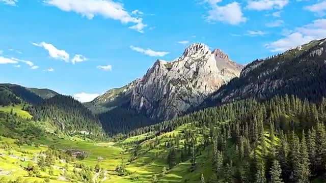 The beauty of nature.