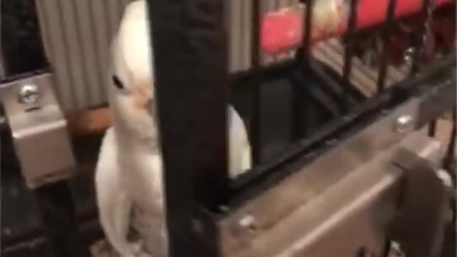 My religion is ( ( s e e d ) )