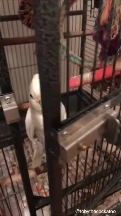 My religion is ( ( s e e d ) )