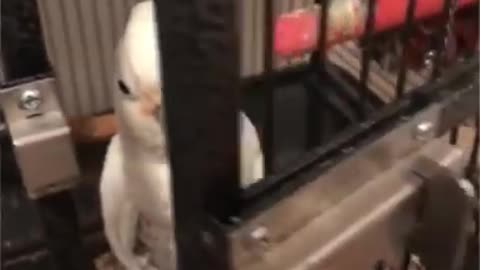 My religion is ( ( s e e d ) )