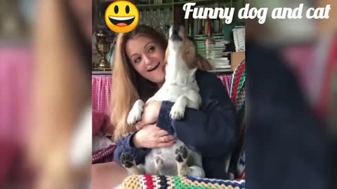 Funny dog video.Little dog and cat video.Amusing dog.Cute and lovely dog and cat.