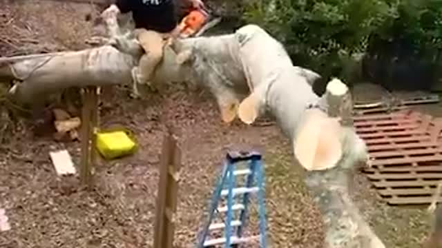 Trees topple at the right time, but almost always the wrong place!! 😮🌳
