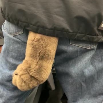 Man wears plushie dog tail on subway train