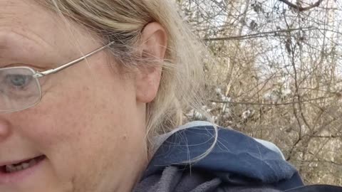 dog walk diary 4