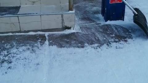 The dog walks in the cold.