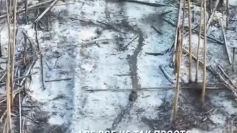 Russians Attempting to Surrender Are Shot by Their Own