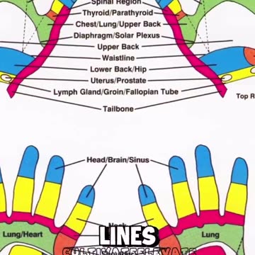 Power of copper = Free Healing ⚡️Copper + Gardening