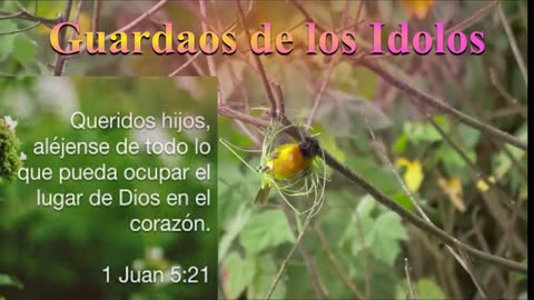 Guardaos de los Ídolos _ Devocional