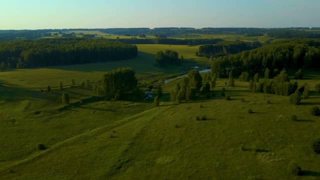 the largest forests on top of a bird's eye view