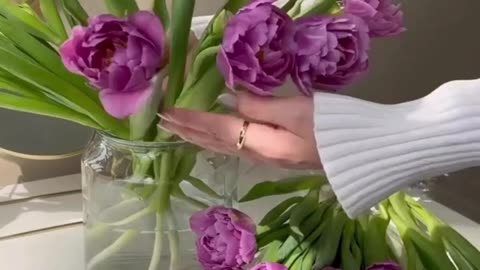 Quick Bloom: Flowers in Fast Motion 🌸