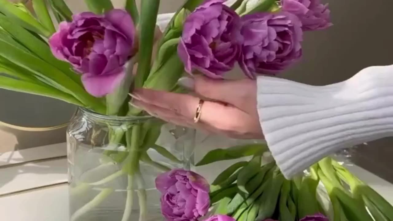 Quick Bloom: Flowers in Fast Motion 🌸