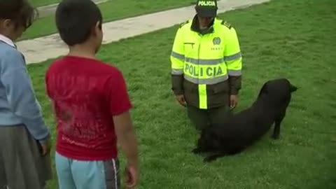 Entrenamiento para perros policias🐕‍🦺