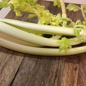 OOPS…REFRIGERATOR GARDENING? 🤷🏼‍♀️