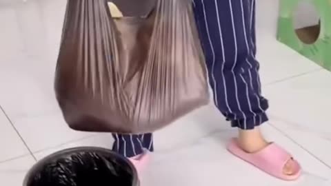 Funny cat videos