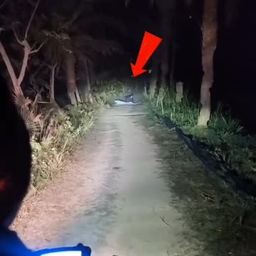 GHOST-HUNTER-New ghost short