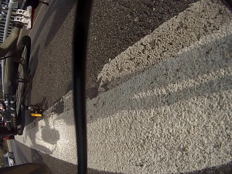 Cyclist collides with Kangaroo just outside of Australia's Parliment House.