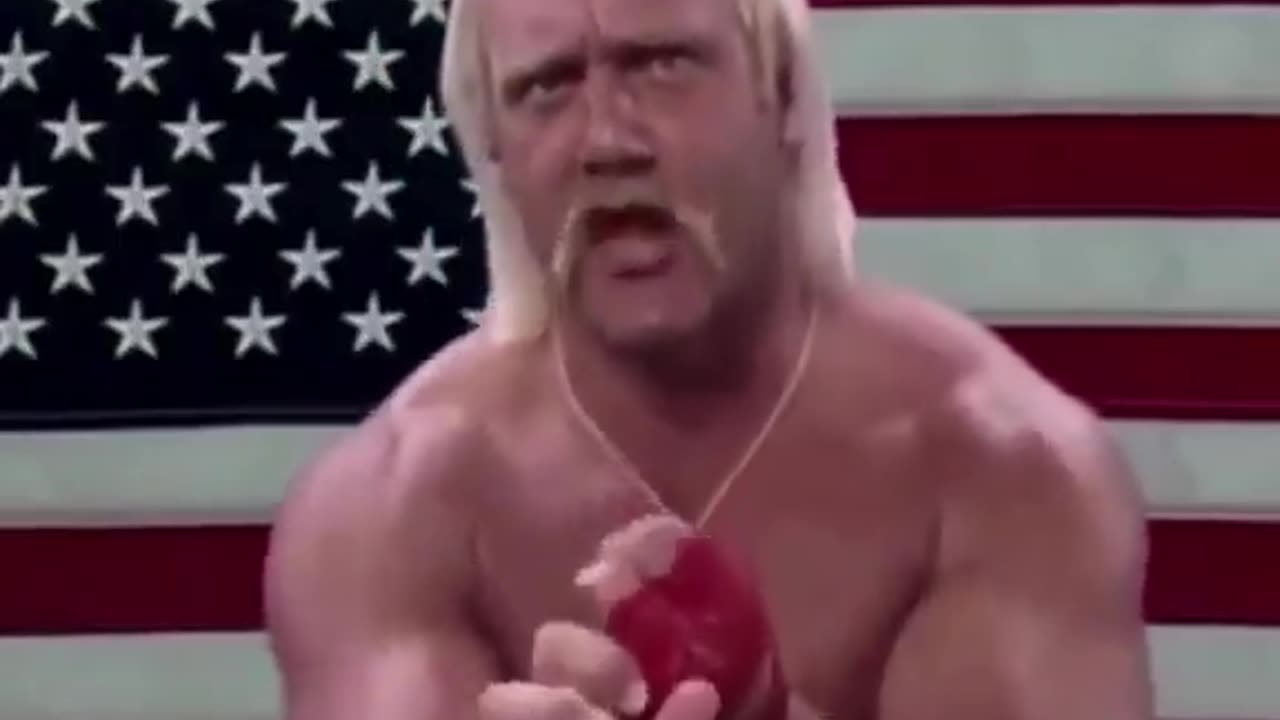 Hulk Hogan Highlights