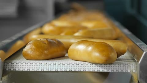 Fresh Cooked Bread Rolling Off Conveyor Belt Delicious