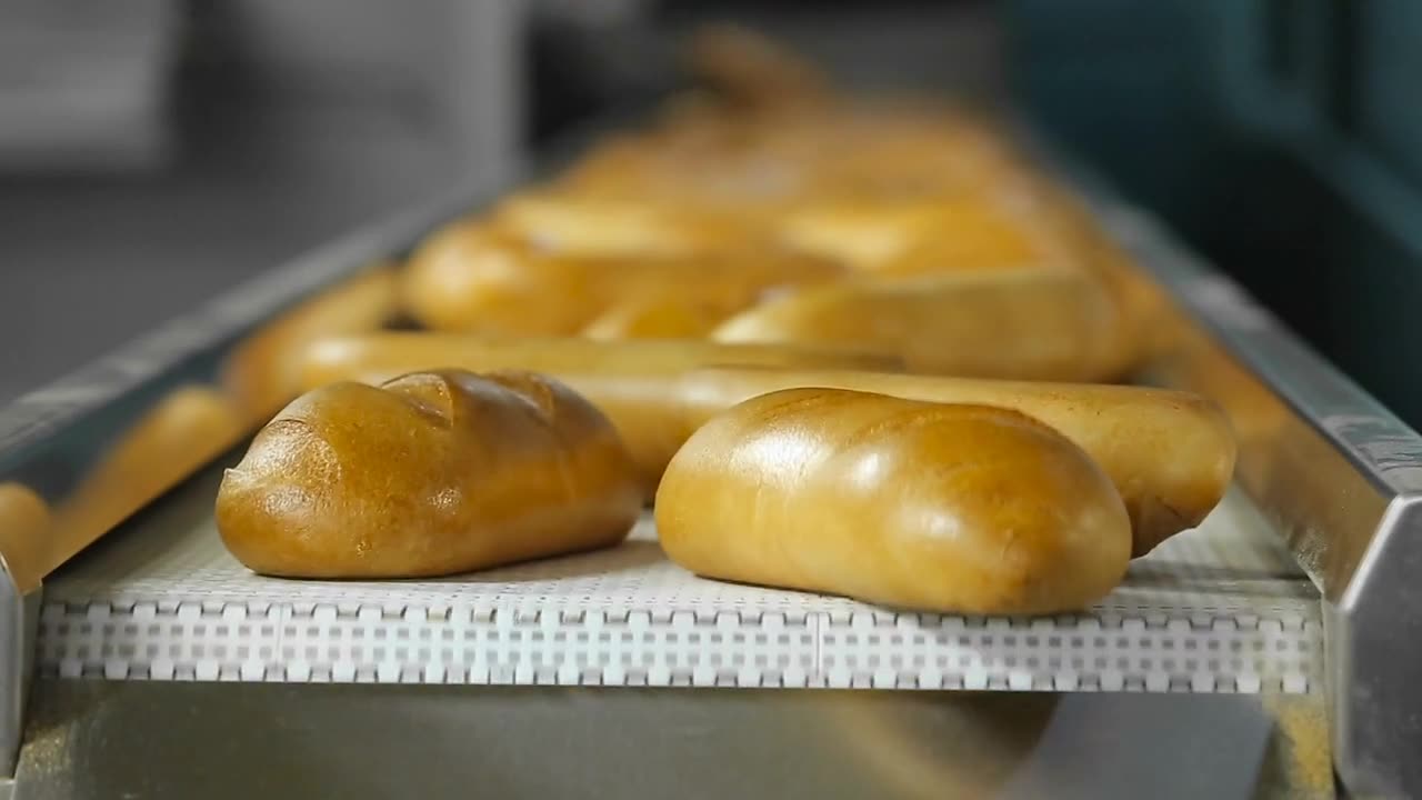 Fresh Cooked Bread Rolling Off Conveyor Belt Delicious