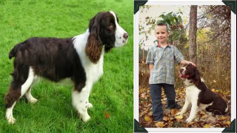 Looking Dog for Kids# # Top 5 dog breeds for shy Children# Dog breeds for kids# Pets in India