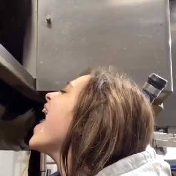 Russian Fresh milk with coating