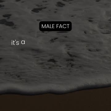 When a guy remembers your birthday...