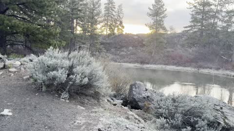 Starting Deschutes River Trail at Sunrise – Deschutes River – Central Oregon – 4K