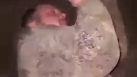 Ukraine Russia War