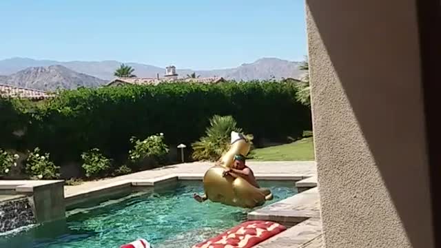 Guy tries to ride golden blowup swan