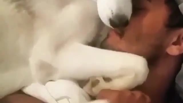 I won't go