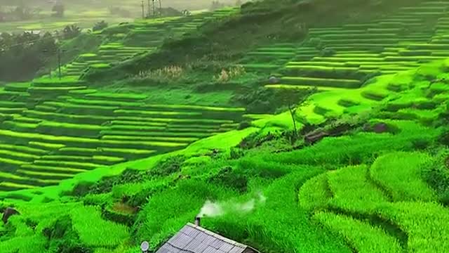 Peace in the high mountains (Vietnam)