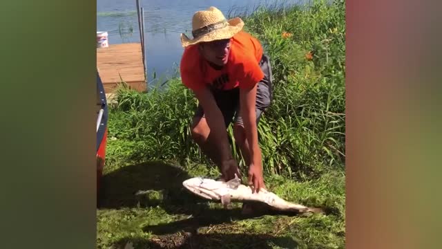 Funny videos compilation 1