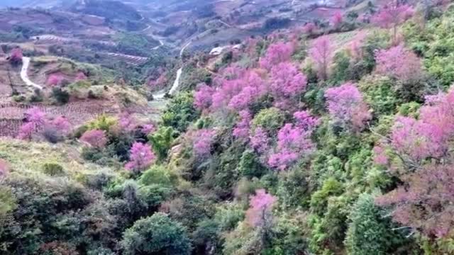 𝐌𝐀𝐒𝐒𝐈𝐕𝐄 𝐀𝐑𝐑𝐄𝐒𝐓 𝐈𝐍 𝐃.𝐂 𝐖𝐀𝐒𝐇𝐈𝐍𝐆𝐓𝐎𝐍 𝐓𝐎𝐃𝐀𝐘 𝐔𝐏𝐃𝐀𝐓𝐄