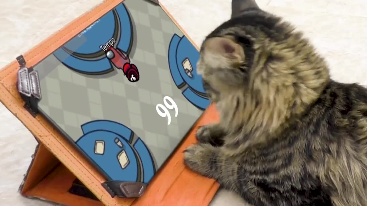 AMONG US, but with 99 KILLS, not appropriate for a cat 🙀