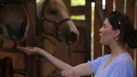 Smiling happy woman feeding horse an apple in paddock