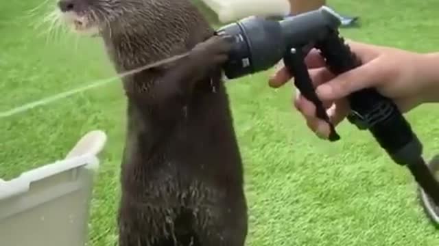 No splashing!