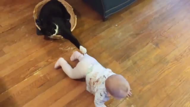 Cute pat VS cute baby