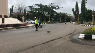 Police Officer Helps Kitty Cross the Street