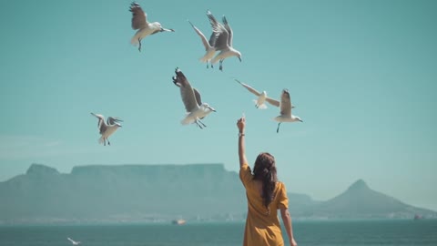 Girl Feeding Seagulls